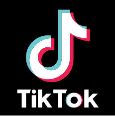 11个月 Tiktok 粉丝账户